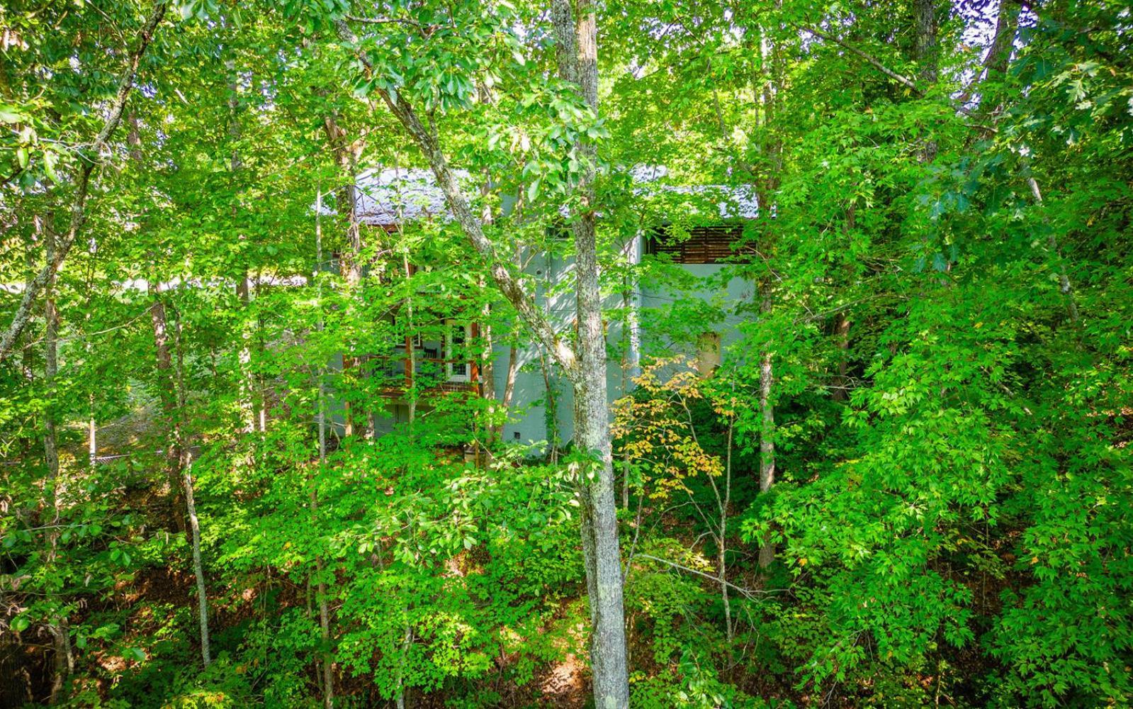 Willa Dollys Getaway Sevierville Zewnętrze zdjęcie
